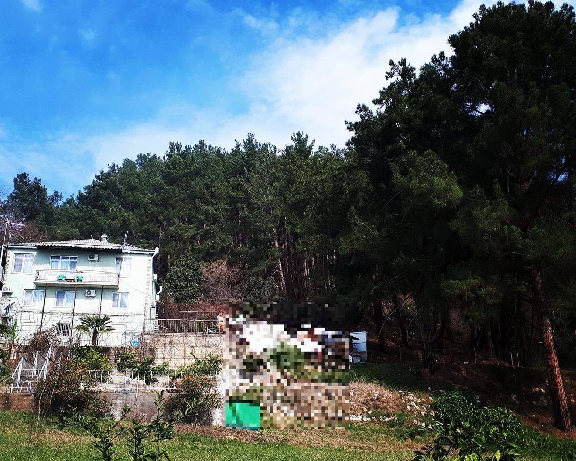 Фото Гостевого дома Мини Отель Багрыпста Цандрыпш 28